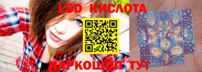мдпв Донской