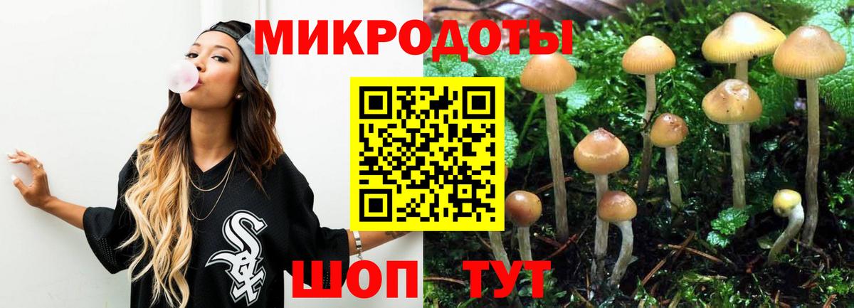 Мытищи  Псилоцибиновые грибы Magic Shrooms  Псилоцибиновые грибы Psilocybe  цены наркотик  Вход с VPN 